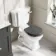 Hudson Traditional Close Coupled Toilet With Graphite Grey Wooden Seat - Brushed Brass Lever