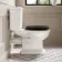 Enid Traditional Close Coupled Toilet With Gloss Black Wooden Seat
