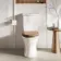 Alma Traditional Rimless Close Coupled Toilet With Oak Effect Soft Close Seat Brushed Brass Hinges