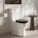 Alma Traditional Rimless Close Coupled Toilet With Gloss Black Soft Close Seat Brushed Brass Hinges