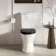 Alma Traditional Rimless Close Coupled Toilet With Gloss Black Soft Close Seat Brushed Brass Hinges