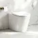 Loma Rimless Back To Wall Toilet With Premium Soft Close Seat