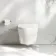 Loma Rimless Wall Hung Toilet With Premium Soft Close Slim Seat