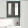 Graphite Grey Wall Hung Mirror Cabinet 700x600mm