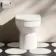 Miami Rimless Back To Wall Toilet With Soft Close Seat
