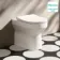 Miami Rimless Back To Wall Toilet With Slim Soft Close Seat