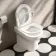 Miami Rimless Back To Wall Toilet With Slim Soft Close Seat