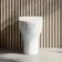 Troy Rimless Comfort Height Back To Wall Toilet With Premium Soft Close Seat