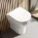 Troy Rimless Comfort Height Back To Wall Toilet With Premium Soft Close Seat