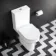 Lodi Rimless Comfort Height Close Coupled Toilet With Soft Close Seat