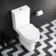 Lodi Rimless Comfort Height Close Coupled Toilet With Slim Soft Close Seat