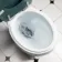 Lima Traditional Close Coupled Toilet With Midnight Green Wooden Seat