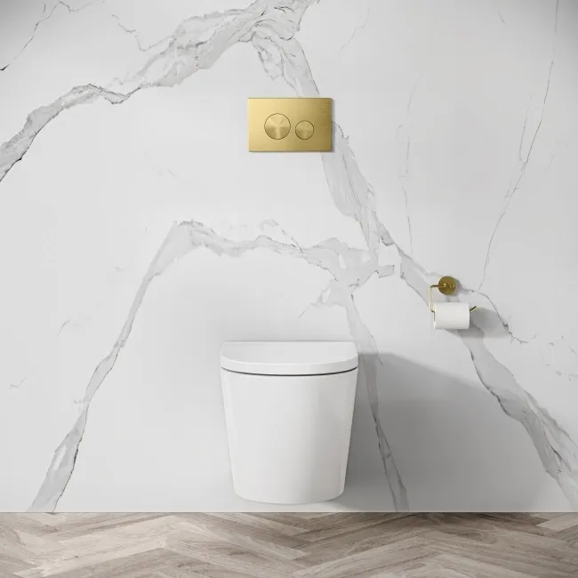 Idaho Pneumatic Wall Hung Toilet Frame and Concealed Cistern with Brushed Brass Flush Plate