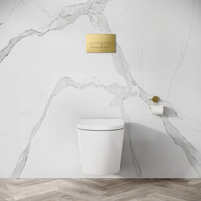 Idaho Pneumatic Wall Hung Toilet Frame and Concealed Cistern with Brushed Brass Flush Plate