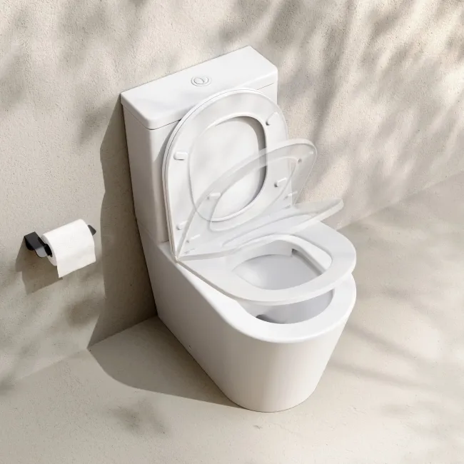Loma Matt White Rimless Fully Back To Wall Close Coupled Toilet With Premium Soft Close Slim Seat