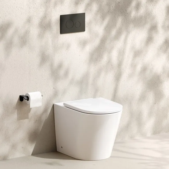 Loma Matt White Rimless Back To Wall Toilet With Premium Soft Close Seat