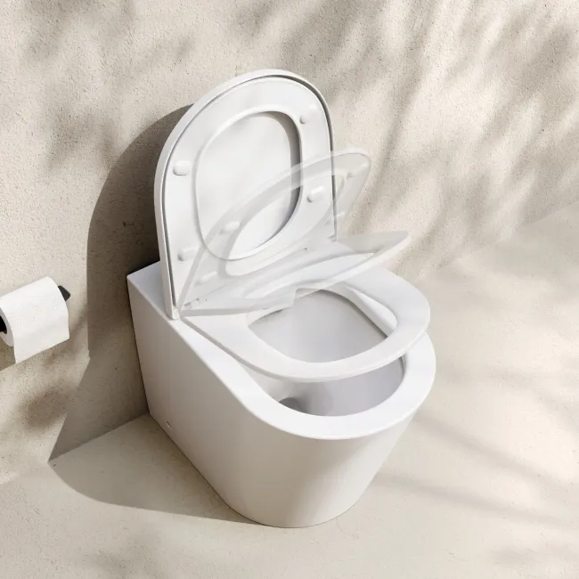Loma Matt White Rimless Back To Wall Toilet With Premium Soft Close Seat