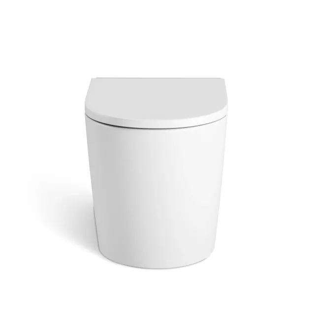Loma Matt White Rimless Back To Wall Toilet With Premium Soft Close Seat
