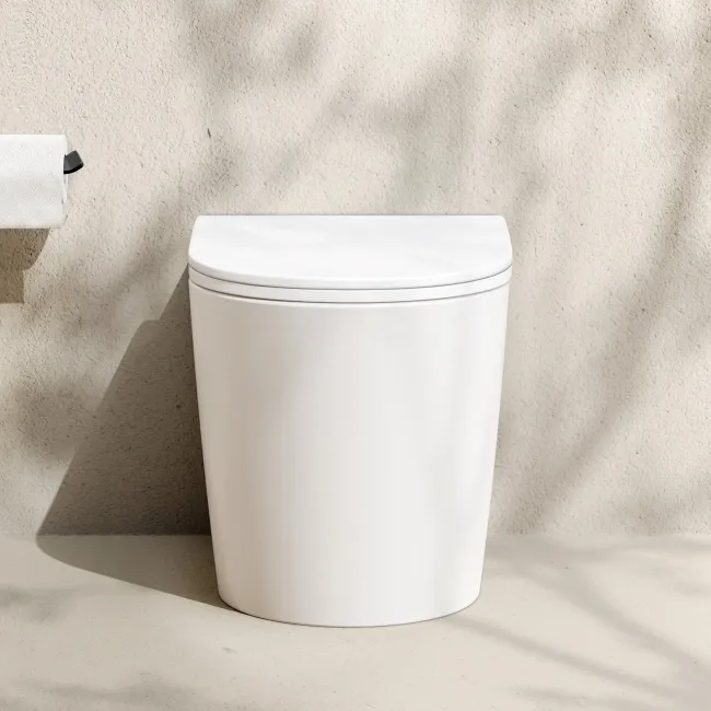 Loma Matt White Rimless Back To Wall Toilet With Premium Soft Close Slim Seat