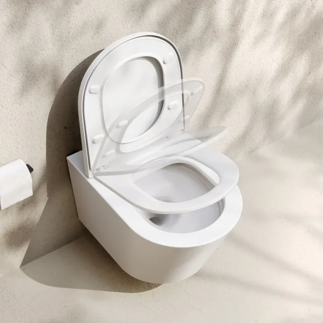 Loma Matt White Rimless Wall Hung Toilet With Premium Soft Close Seat