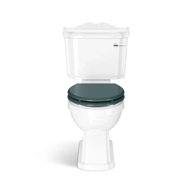Lima Traditional Close Coupled Toilet With Midnight Green Wooden Seat