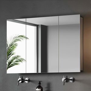 Elena Stainless Steel Mirror Cabinet 600x1000mm