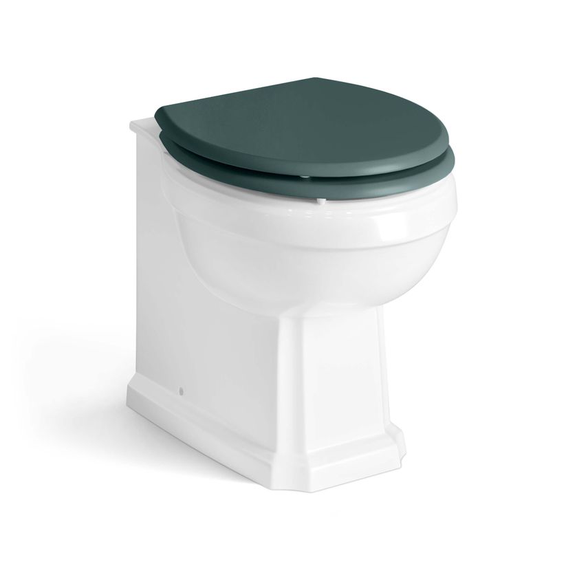 Hudson Traditional Back To Wall Toilet With Midnight Green Wooden Seat