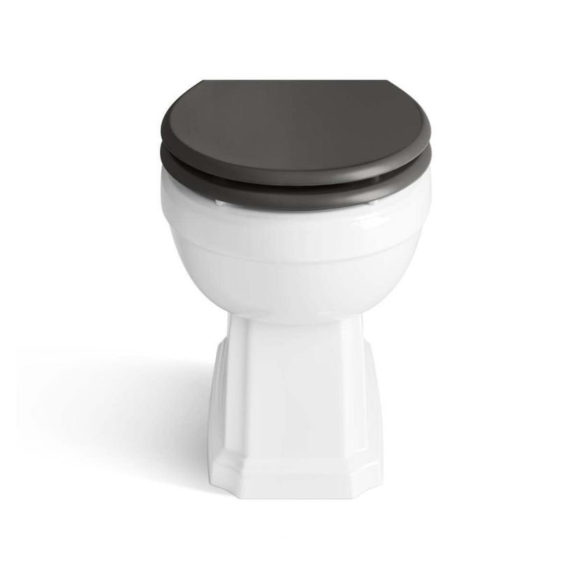 Hudson Traditional Back To Wall Toilet With Graphite Grey Wooden Seat